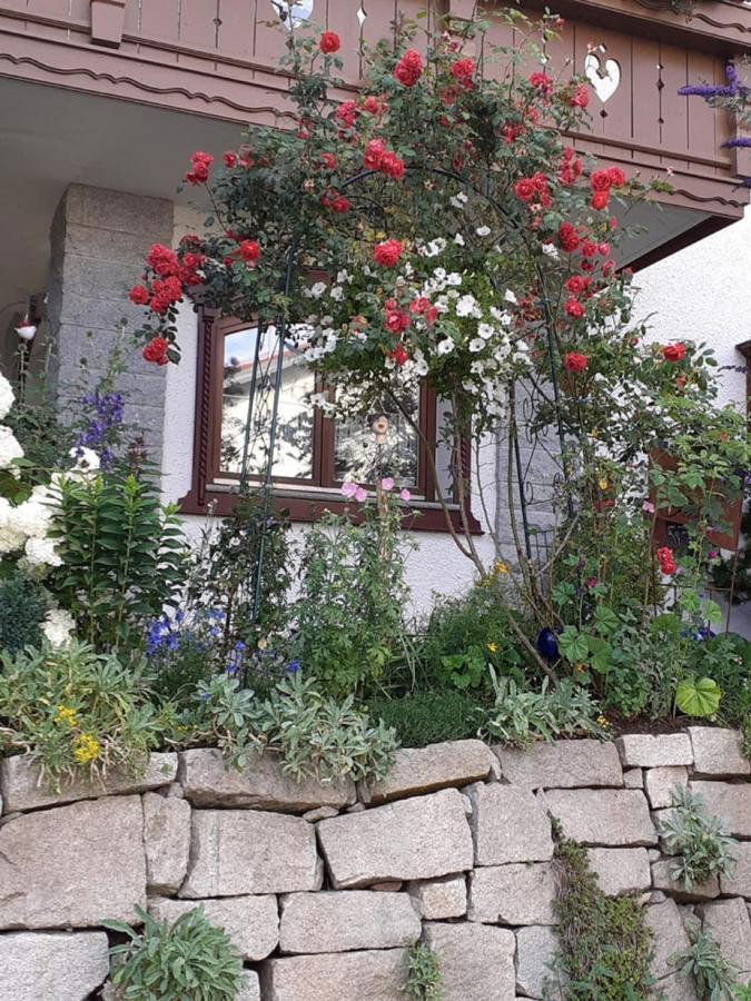 Ferienwohnung Arberblick Lam Εξωτερικό φωτογραφία